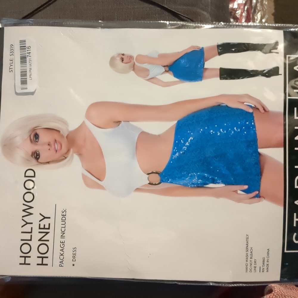 Hollywood Honey Costume